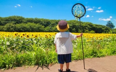 子どもの紫外線対策