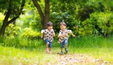 子どもと季節を感じる外遊び